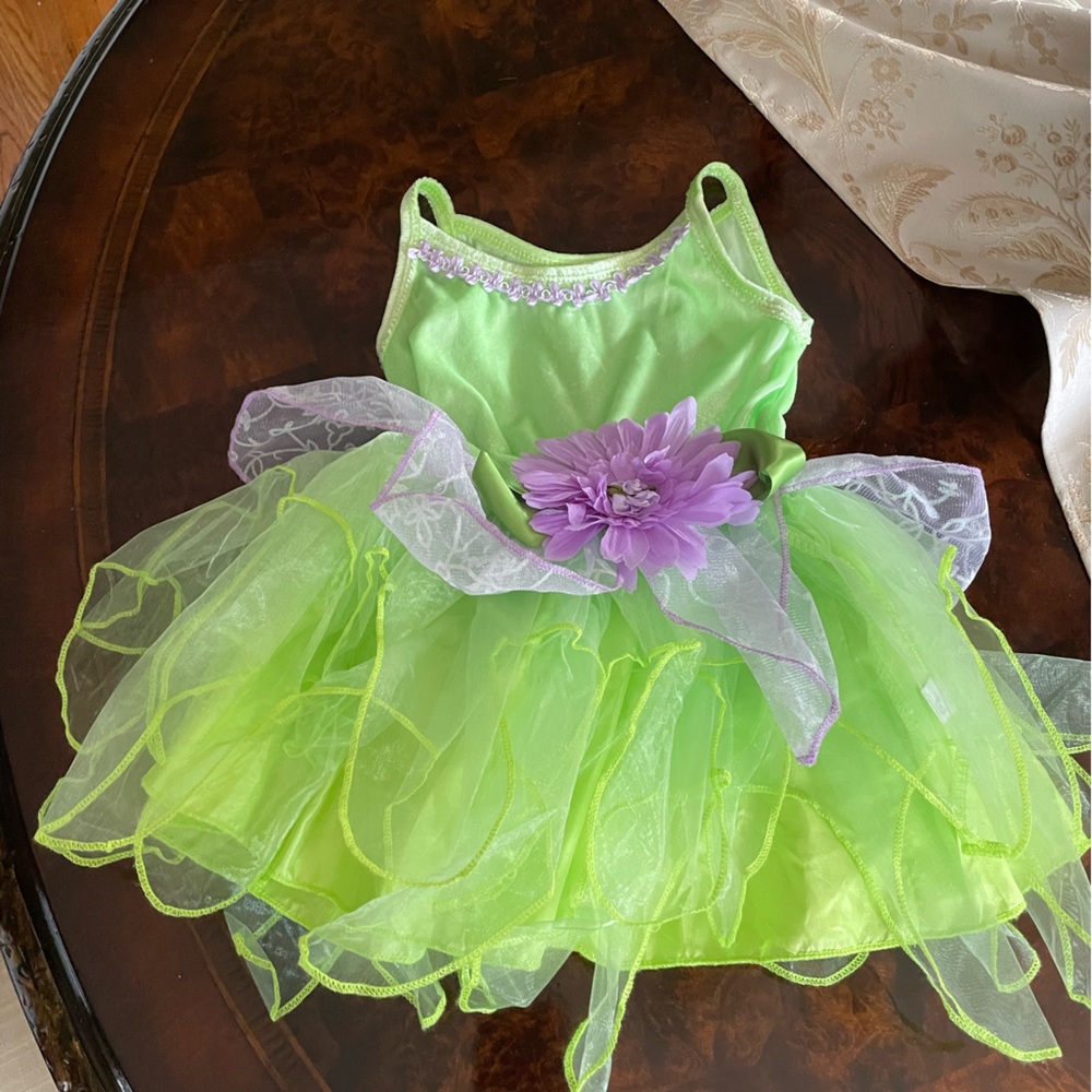 Tinker bell costume only
